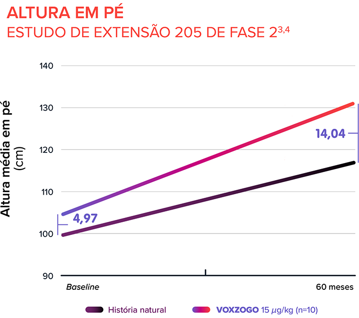 Estudo de Extensão de Fase 2 205 da Altura em Pé